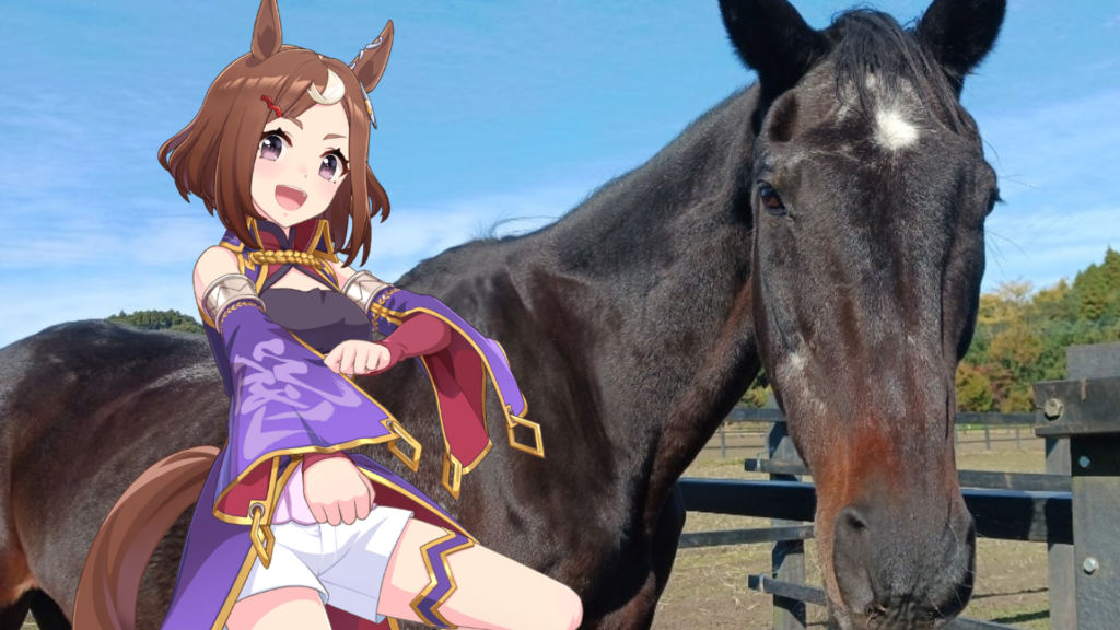 Tsurumaru Tsuyoshi, Retired Racehorse and Umamusume Character Inspiration Has Died