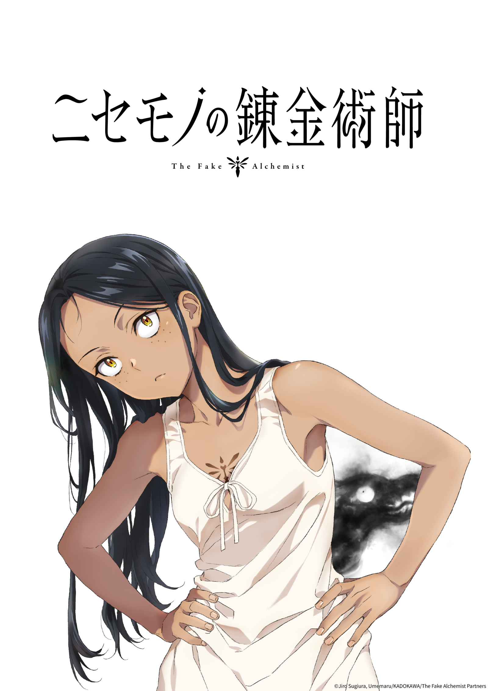 The Fake Alchemist Visual